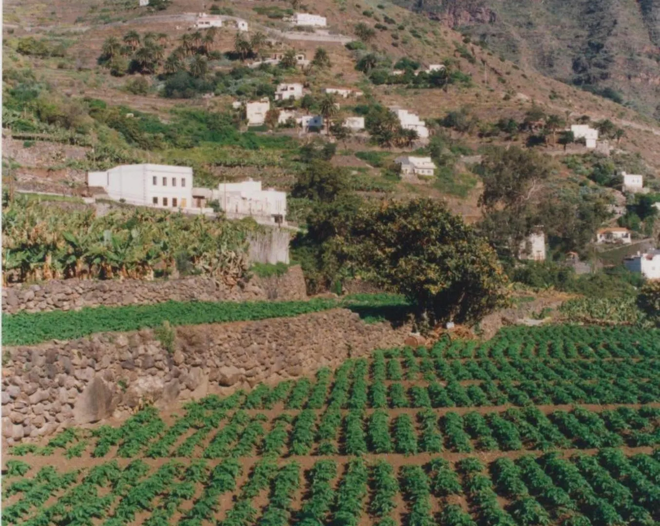 Casa Rural La Cuadra Hermigua 0*,